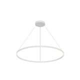Cerchio 125W LED Pendant 1.5 Inch Tall and 47.25 Inch Wide by Kuzco - PD87748-UNV