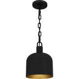 1 Light Industrial Small Pendant 11 Inch Tall by Quoizel - QPP6206