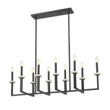 Gaultier 10 Light Linear Chandelier 12 Inch and 44.75 Inch Length by Z Lite - 6100-10L