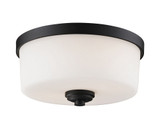 Arlington 2 Light 12.25 Inch Wide Flush Mount by Z-Lite - 220F2