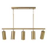 Robbie 5 Light Linear Chandelier 11.25 Inch Tall X 40 Inch Wide by Capital - 861751