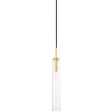 Nyah 1 Light Mini Pendant 22.25 Inch Tall by Mitzi - H701701S