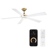 Crown 5 Blade Ceiling Fan with Light Kit 62 Inch Wide by Modern Forms - FR-D2602-62L