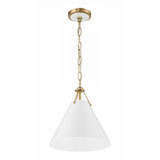 Xavier 1 Light Medium Pendant by Crystorama - XAV-B8301
