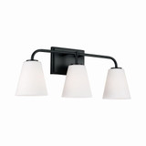 Brody 3 Light Vanity Light by Capital - 149431