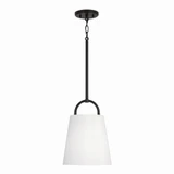 Brody 1 Light Small Pendant by Capital - 349411
