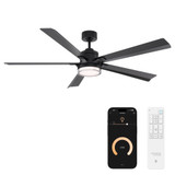 Radiant 5 Blade Ceiling Fan with Light Kit 64 Inch Wide by Modern Forms - FR-D2603-64L