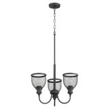 Omni 3 Light Small Chandelier by Quorum - 6212-3