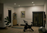 {"pim_id":"147_53007WH30_HomeGym_Ara_Overall_Night_Dimmed_new_1k","sku":"147_53007WH30","media_type":"media"}