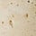 Travertine Oyster
