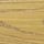 Medium Oak