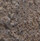 Dark Weathered Iron
