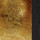 Gold Leaf/Textured Black