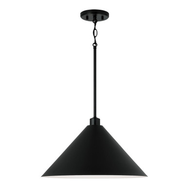 Alden 1 Light Large Pendant by Capital - 351311