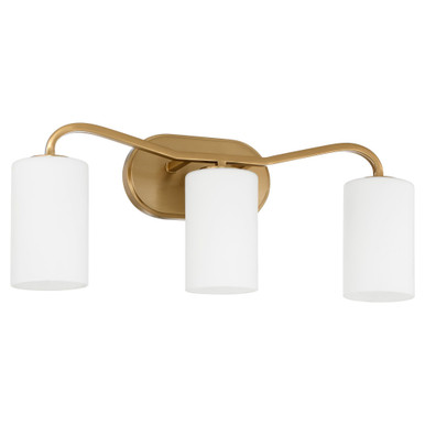 Rutherford 3 Light Bath Vanity 9 Inch Tall and 22.75 Inch Wide by Quorum - 5307-3