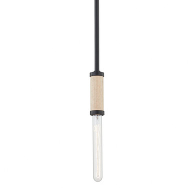 Cruiz 1 Light Mini Pendant by Troy - F6701-SBK