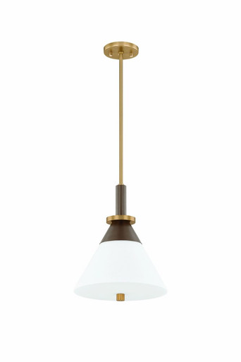 Staton 1 Light Medium Pendant by Troy - F4212-PBR/BRZ
