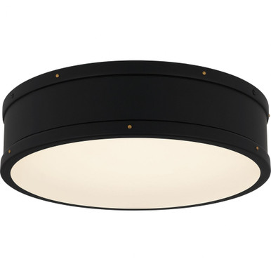 Ahoy Light 16 Inch Wide Flush Mount by Quoizel - QFL5224