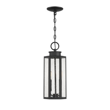 Hawthorne 2 Light Outdoor Hanging Lantern 17.25 Inch Tall by Savoy House - L5-5103-BK