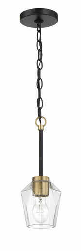 Avante Grand 1 Light Mini Pendant by Craftmade - 56991-FBSB