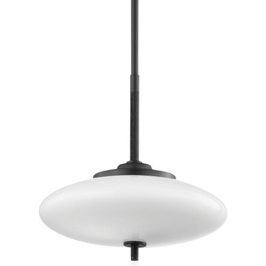 Fallon 2 Light Pendant 18 Inches Tall and 18 Inches Wide by Troy - F7776-SBK