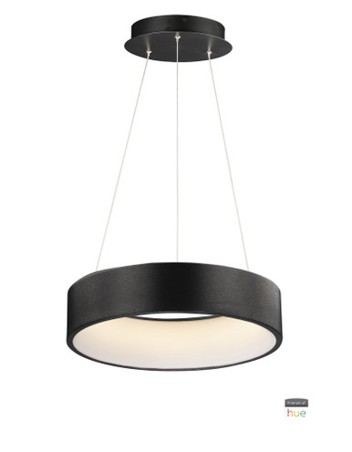 Iq 40W 1 LED Large Pendant by ET2 - E31254-BBK