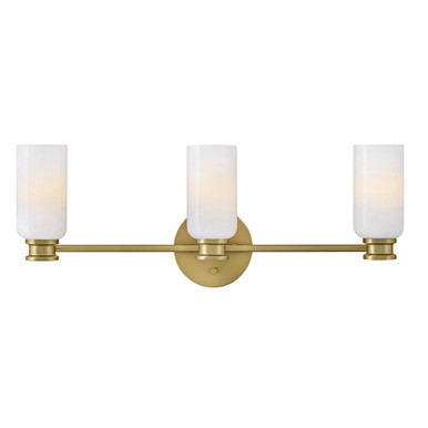 Naomi 15W 3 LED Medium Bath Vanity 9 Inch Tall and 24 Inch Wide by Lark - 85613
