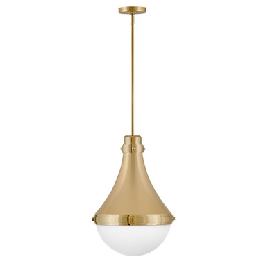 Oliver 1 Light Medium Pendant 21.25 Inch Tall by Hinkley - 39054BBR