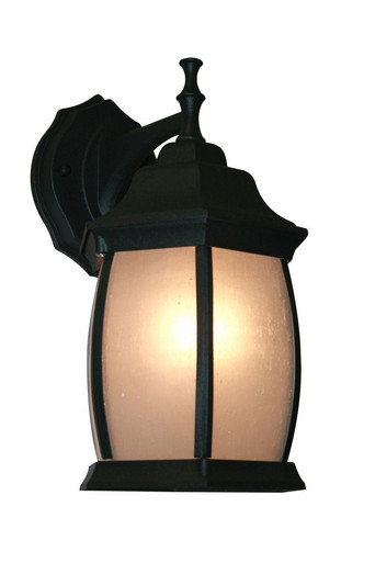 Waterdown One Light Outdoor Wall Fixture by Z Lite - T20-BK-F