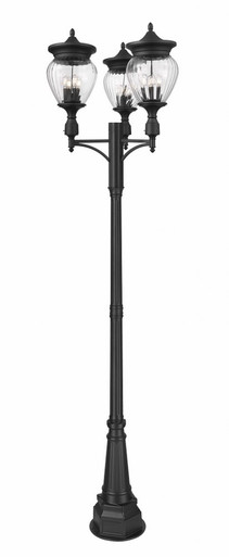 Davina 12 Light Outdoor Post Mount 120.25 x 34.5 Inches by Z-Lite - 5016PHBR-3-564P-BK