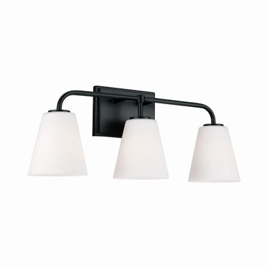 Brody 3 Light Vanity Light by Capital - 149431