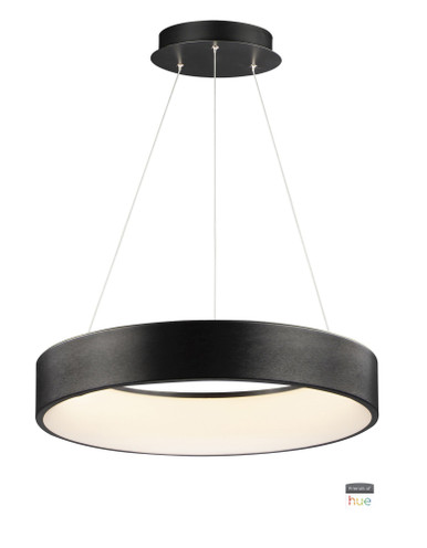 Iq 60W 1 LED Large Pendant by ET2 - E31256-BBK