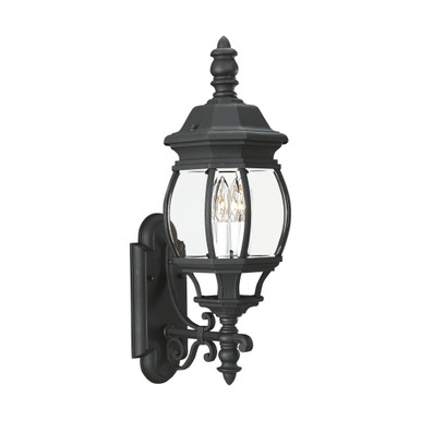 Wynfield 2 Light Outdoor Wall Lantern by Generation - 88201