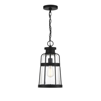 Quinton 1 Light Outdoor Hanging Lantern 16.5 Inch Tall by Savoy House - L5-2943-BK