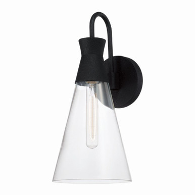 Paloma 1 Light Wall Sconce by Capital - 650311