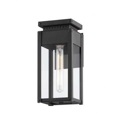 Braydan 1 Light Outdoor Wall Mount by Troy - B8513-TBK