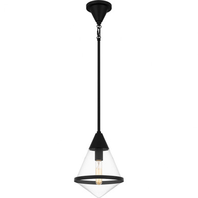 1 Light Small Pendant 13.5 Inch Tall by Quoizel - QPP6160