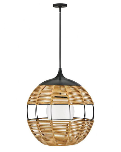 Maddox 10W 1 LED Large Outdoor Pendant by Hinkley - 19675BK-NAT