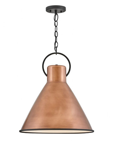 Winnie 12W 1 LED Large Pendant by Hinkley - 3555AP