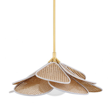 Florina 1 Light Large Pendant by Hudson Valley - 3128-AGB