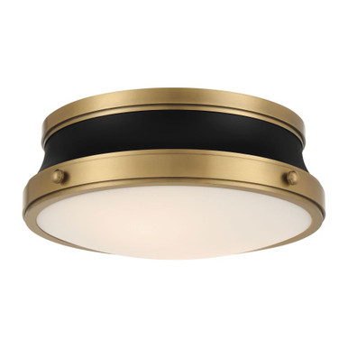 Purelight 2 Light Flush Mount 5.5 Inch Tall X 15 Inch Wide by Minka Lavery - 3939