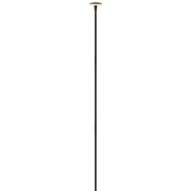 Calie 2.1W LED Stem Path Light 35.5 Inch Tall and 2.5 Inch Wide by Hinkley - 15695BK