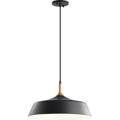 Danika 1 Light Large Pendant by Kichler - 43683