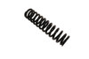 125 RR-S Shock Spring