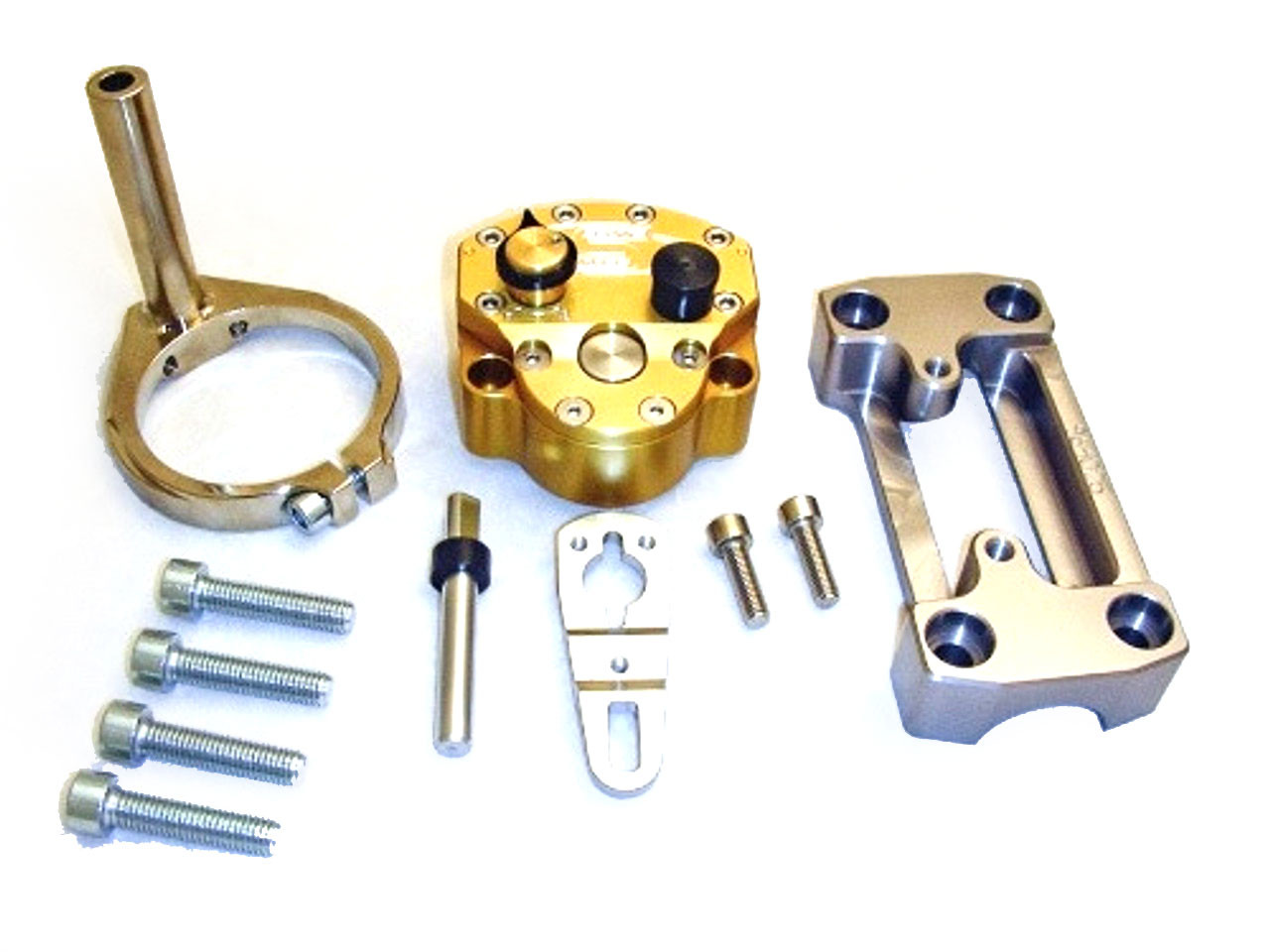 Scotts Damper Kit, 2018+  Features both high and low speed adjustments.