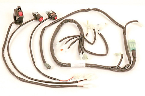 Race Wire Loom, EFI Race Wire Loom, EFI AB-10273-EFI  Race Wire Loom, EFI Race Wire Loom, EFI AB-10273-EFI