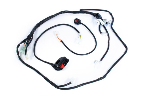 EFI Race Wire Loom, 2020+ 4 Strokes EFI Race Wire Loom, 2020+ 4 Strokes