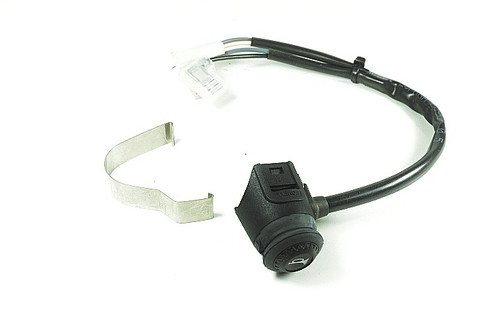 HORN BUTTON - (007.35.055.00.00)