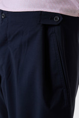 Cellar Door Dino  910336 W841 Blue