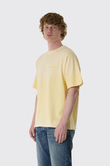 Bram's Fruit Distressed Big Lemon Outline 2027 2027 Banana Yellow